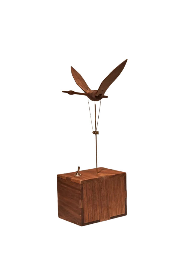 Wooden Swan