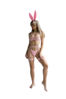 Sexy Bunny Costume